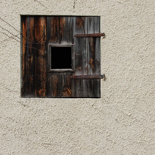 harmonische vergänglichkeit titelbild