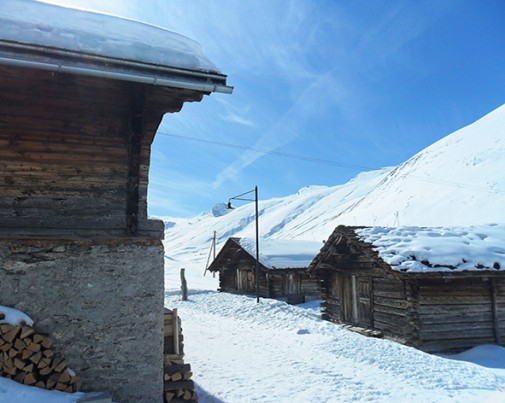 hochalpine siedelei titelbild