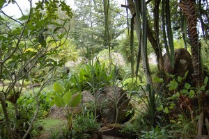 die varianz von grün bild 2