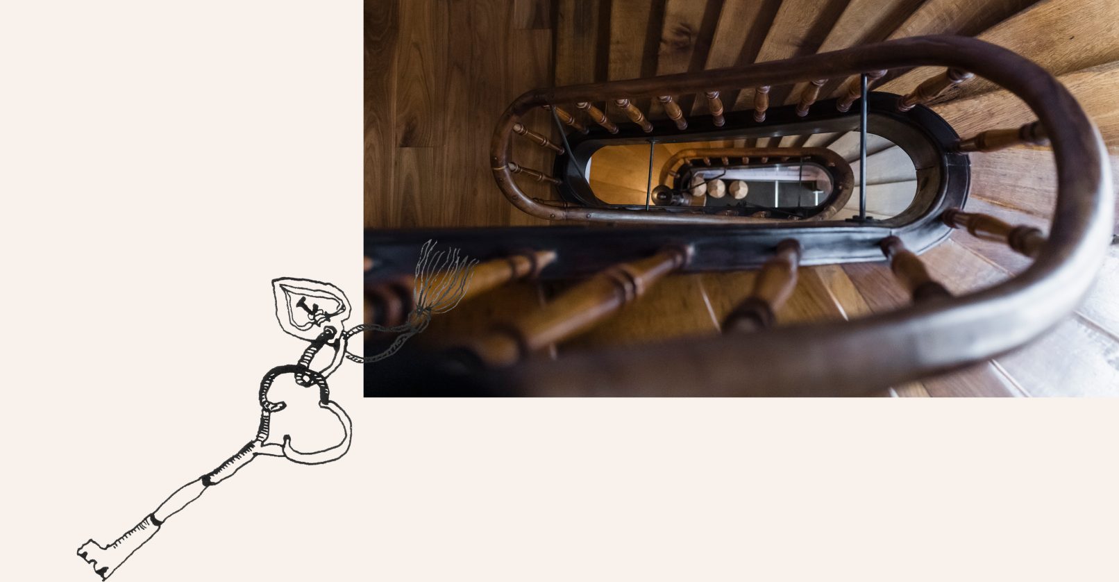 bären hotel & metzgerei illustration