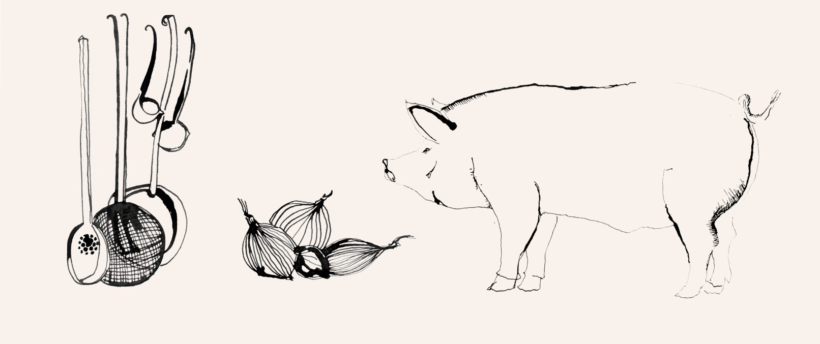 bären hotel & metzgerei illustration