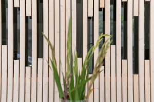 detailansicht praxis in ludwigsburg